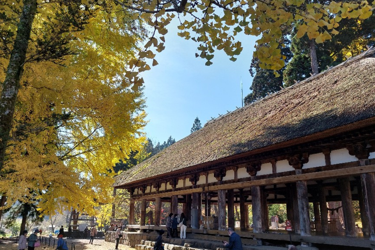吹き抜けの珍しい拝殿❣️神宮熊野神社　福島県会津
