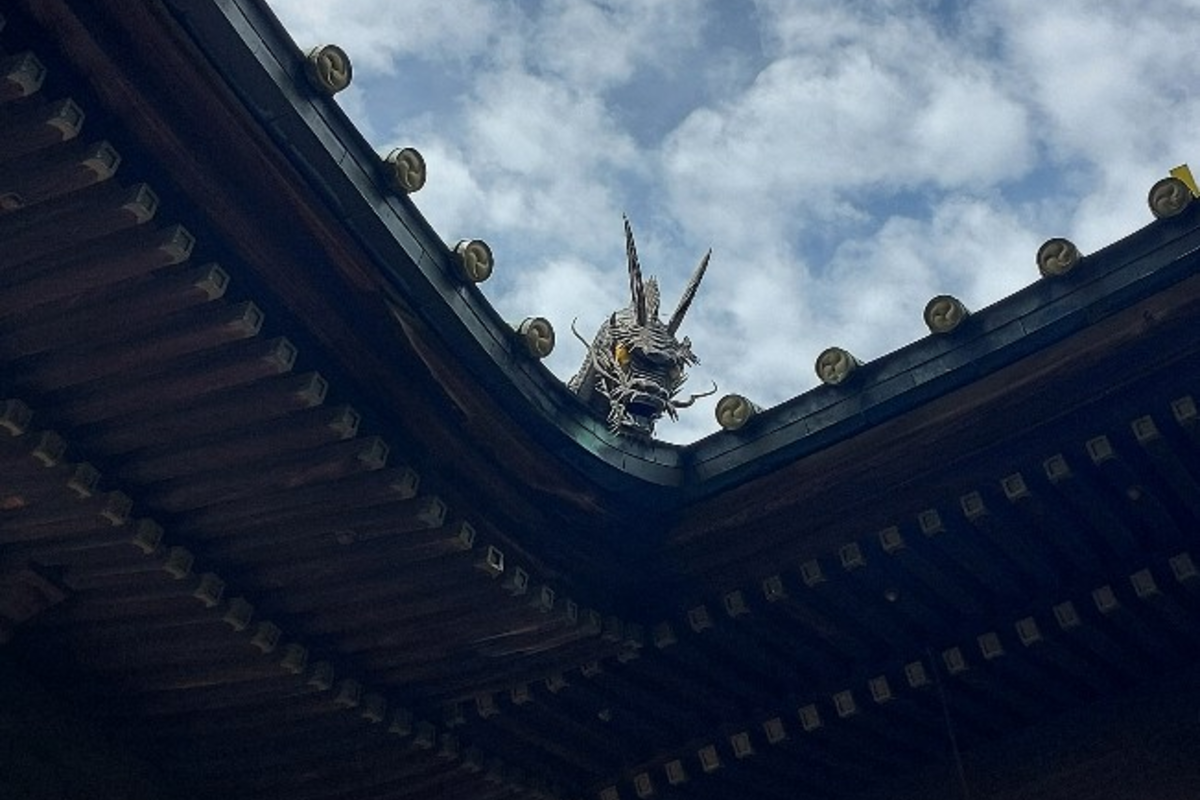 龍神様が上から見てます🐲起業するなら荏原神社へ