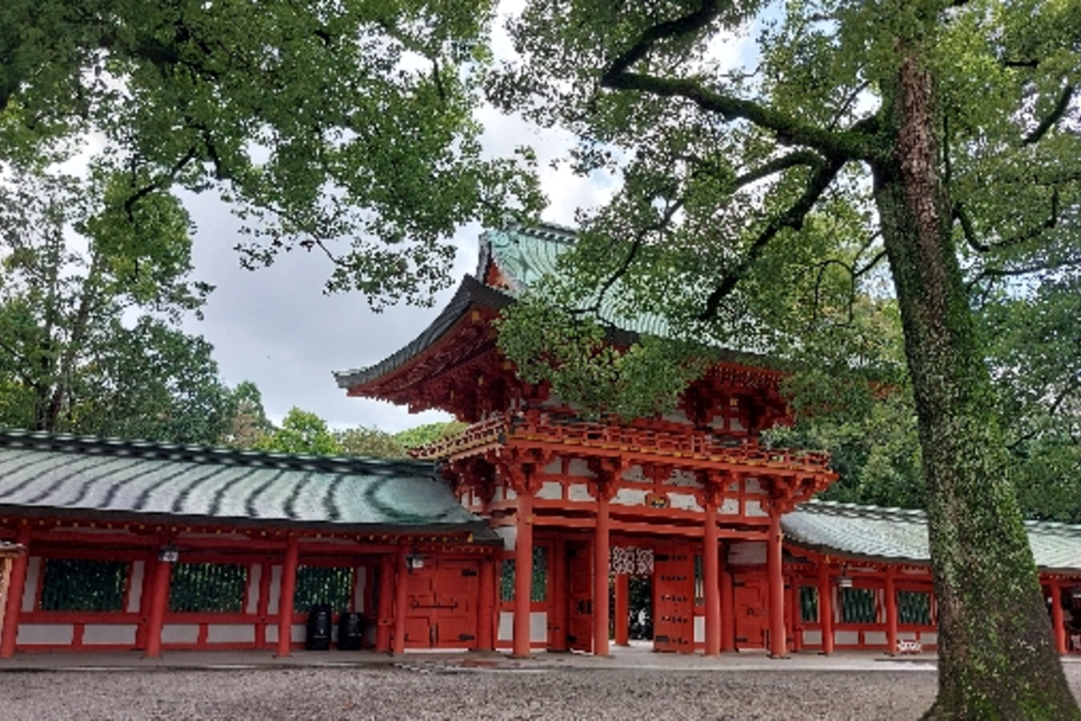 ツインレイにおすすめの龍神様に会える神社