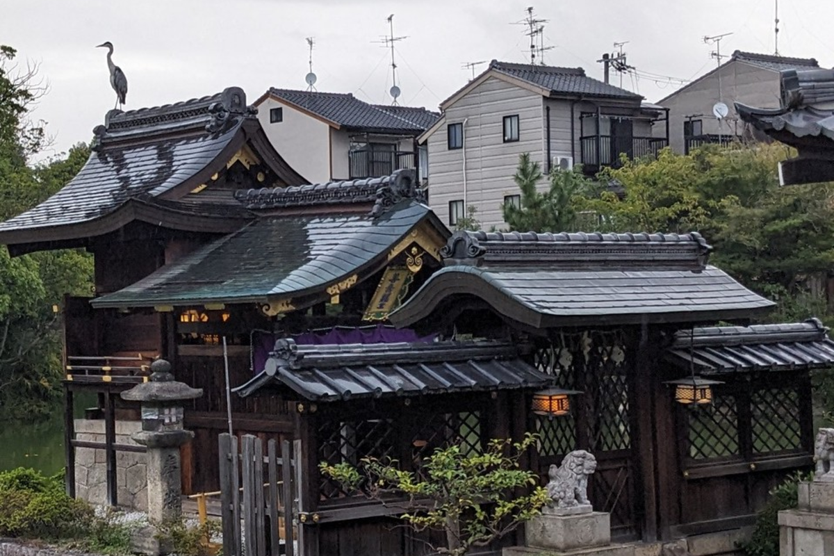 京リトリート【観月の夕べ】募集