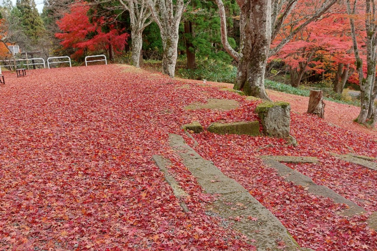 赤い絨毯に起業を願い❣️土津神社　福島県