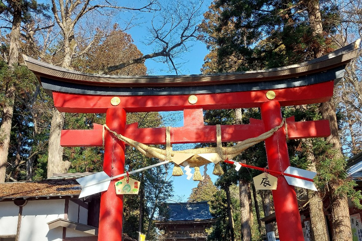 強運をつける‼️❣️伊佐須美神社